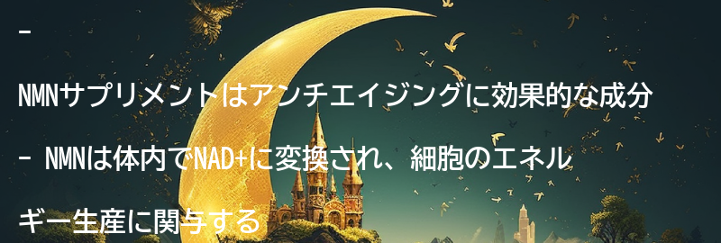 NMNサプリメントとは？の要点まとめ