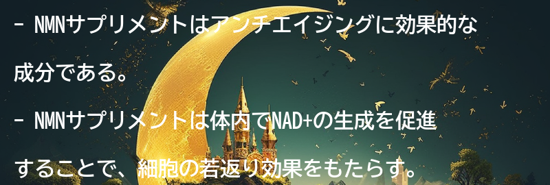 アンチエイジングに効果的なNMNサプリメントの成分とは？の要点まとめ