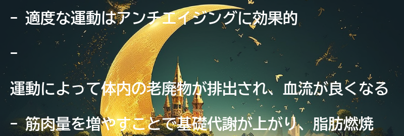 適度な運動の効果とは？の要点まとめ