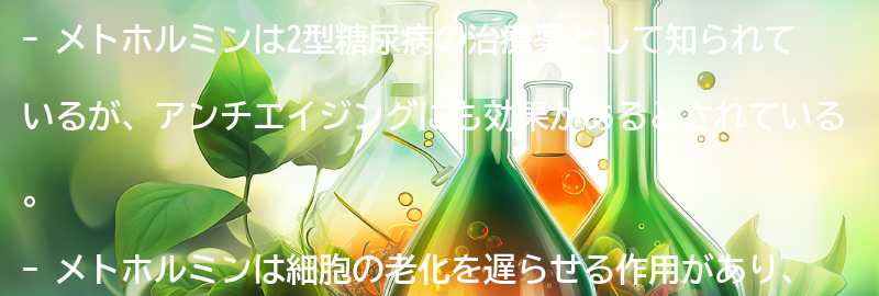 メトホルミンとは？の要点まとめ
