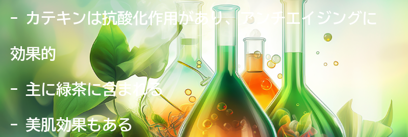 カテキンとは？の要点まとめ