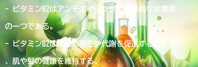 ビタミンB2がアンチエイジングに効果的な理由の要点まとめ