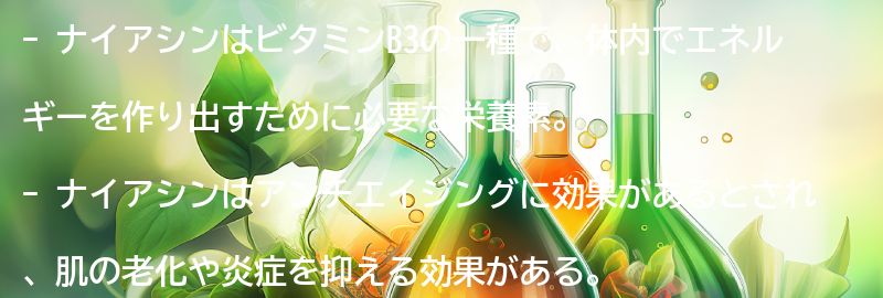 ナイアシンとは？の要点まとめ