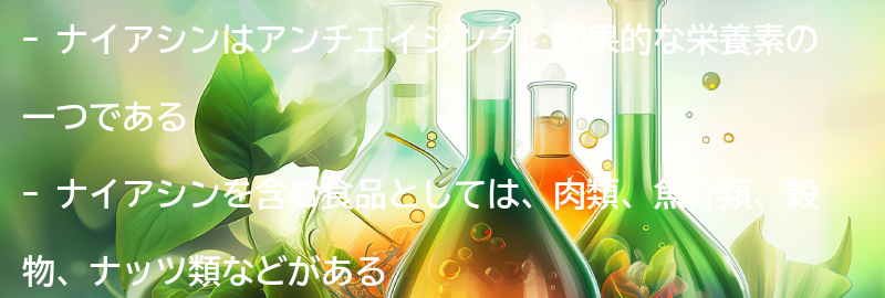ナイアシンを含む食品とサプリメントの選び方の要点まとめ