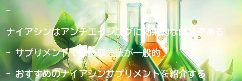 ナイアシンサプリメントのおすすめ商品紹介の要点まとめ