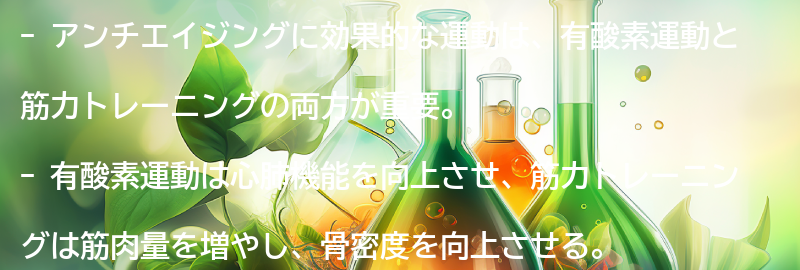 アンチエイジングに効果的な運動とは？の要点まとめ