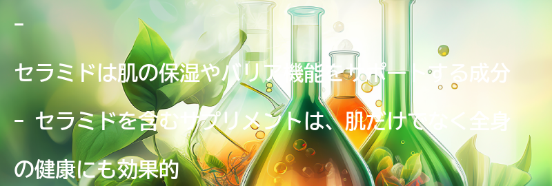 セラミドを含むサプリメントの紹介の要点まとめ