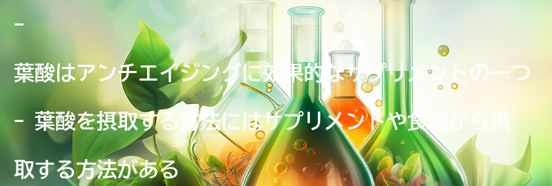 葉酸を摂取する方法と注意点の要点まとめ