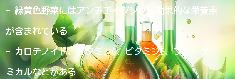 緑黄色野菜の栄養素とアンチエイジング効果の要点まとめ
