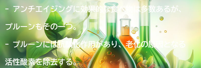 アンチエイジングに効果的な食べ物とは？の要点まとめ