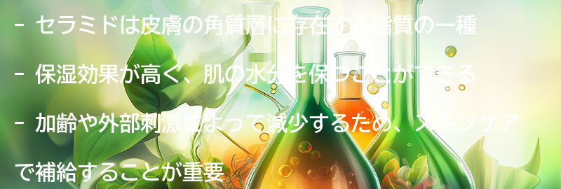 セラミドとは何か？その効果とは？の要点まとめ