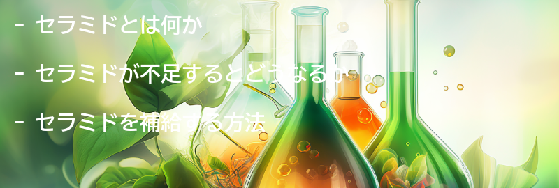 セラミドを補給する方法とは？の要点まとめ