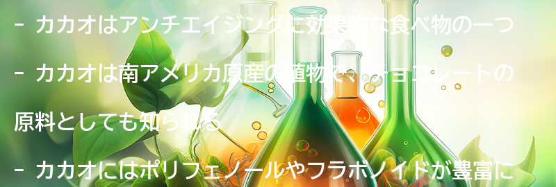 カカオとは？の要点まとめ