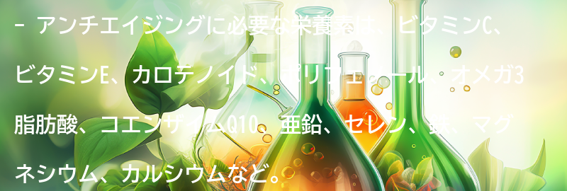 アンチエイジングに必要な栄養素とは？の要点まとめ
