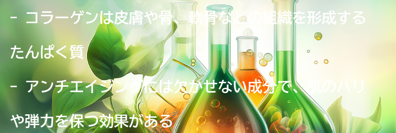 コラーゲンとは？アンチエイジングにどのような効果があるのか？の要点まとめ