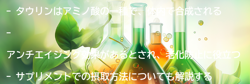 タウリンとは？の要点まとめ