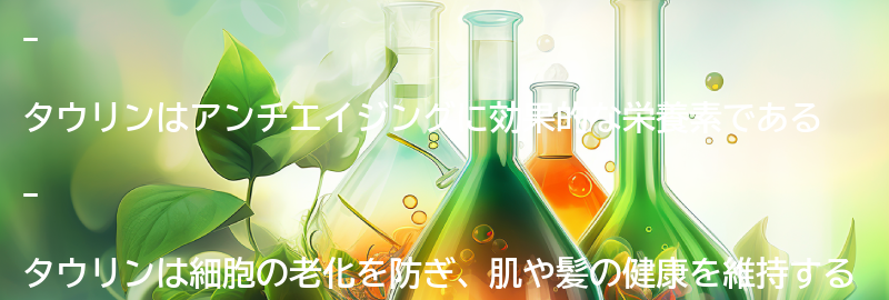 タウリンのアンチエイジング効果とは？の要点まとめ