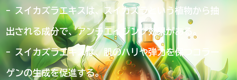 スイカズラエキスとは？の要点まとめ