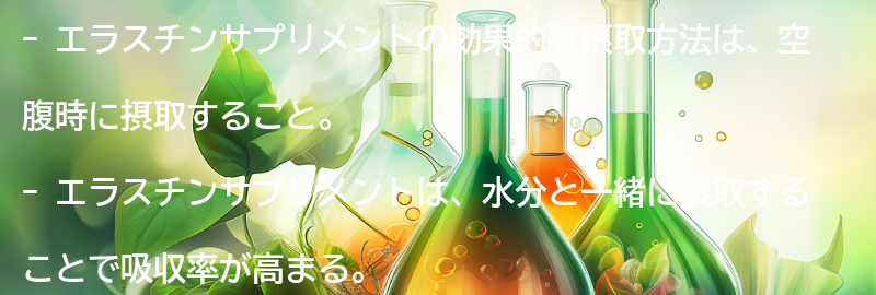 エラスチンサプリメントの効果的な摂取方法とは？の要点まとめ