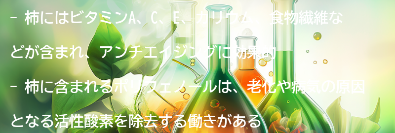 柿の栄養価とアンチエイジング効果の要点まとめ