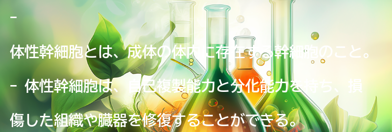 体性幹細胞とは？の要点まとめ