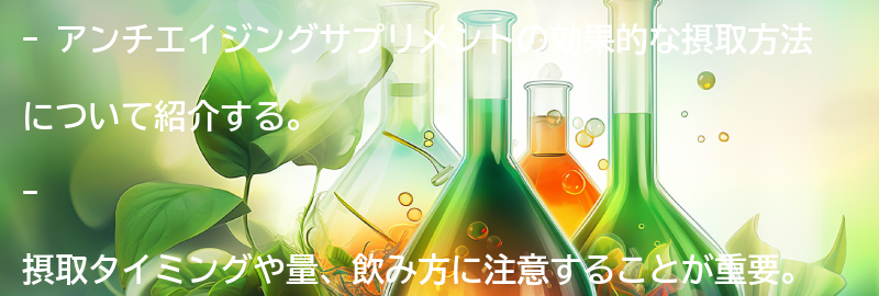 効果的な摂取方法とは？の要点まとめ