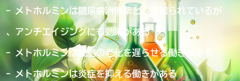 メトホルミンのアンチエイジング効果とは？の要点まとめ