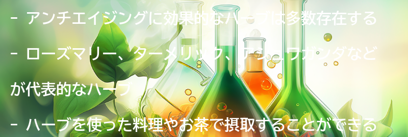 アンチエイジングに効果的なハーブとは？の要点まとめ