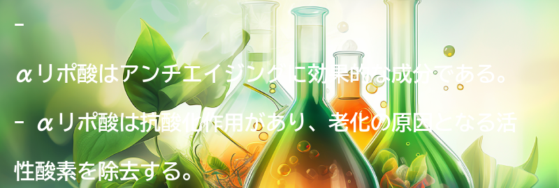 アンチエイジングに効果的なαリポ酸の働きとは？の要点まとめ