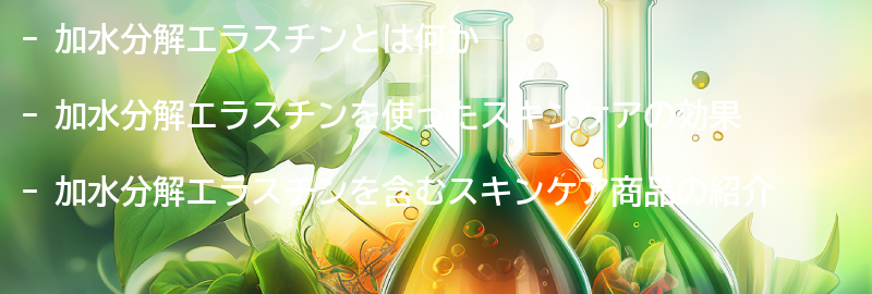 加水分解エラスチンを使ったスキンケアの方法の要点まとめ
