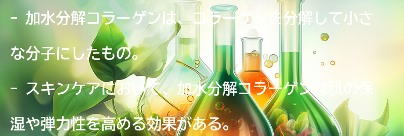 加水分解コラーゲンとは？の要点まとめ