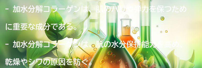 加水分解コラーゲンの効果とは？の要点まとめ
