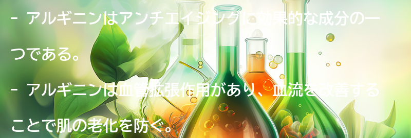 アルギニンのアンチエイジング効果とは？の要点まとめ