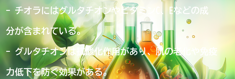チオラの主な成分とその効果の要点まとめ