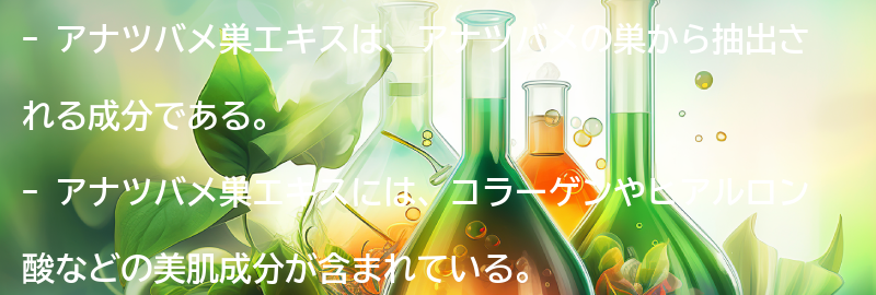 アナツバメ巣エキスとは？の要点まとめ