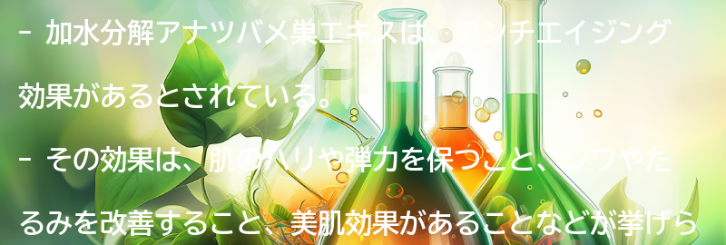 加水分解アナツバメ巣エキスの効果の要点まとめ