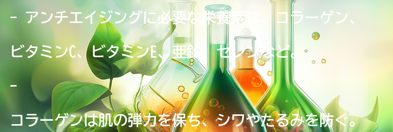 アンチエイジングに必要な栄養素とは？の要点まとめ