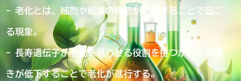 老化とは何か？の要点まとめ