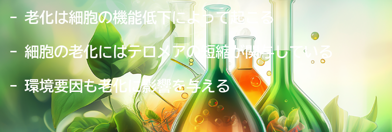2.老化のメカニズムとは？の要点まとめ