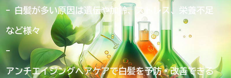 白髪が多い原因とは？の要点まとめ