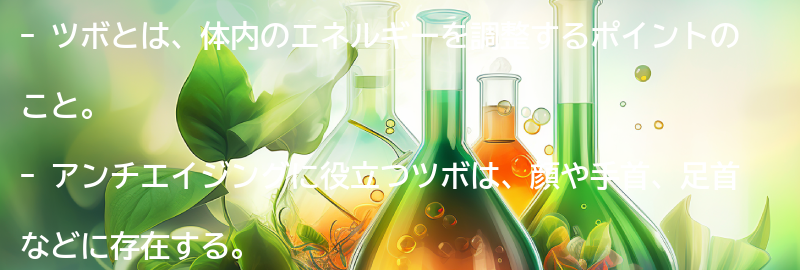 ツボとは？の要点まとめ