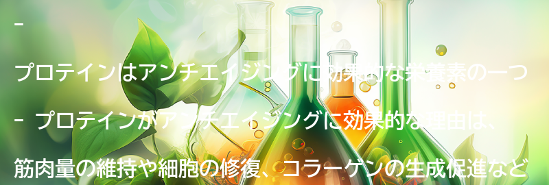 プロテインがアンチエイジングに効果的な理由とは？の要点まとめ