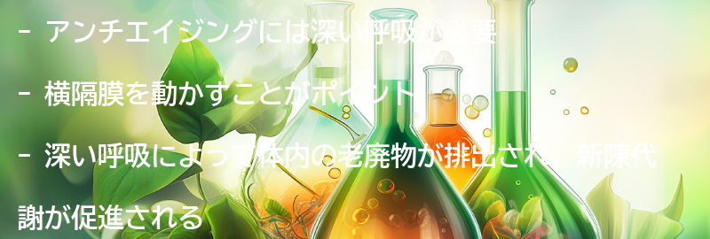 アンチエイジングに必要な深い呼吸とは？の要点まとめ
