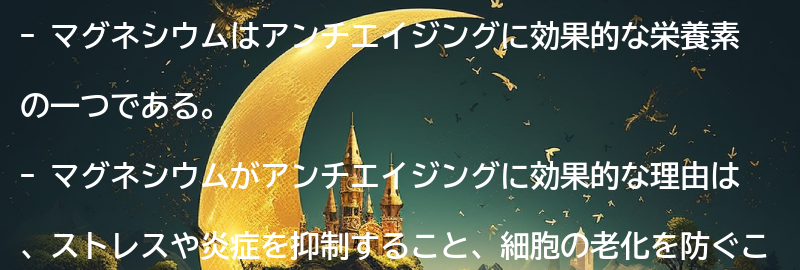 マグネシウムがアンチエイジングに効果的な理由の要点まとめ