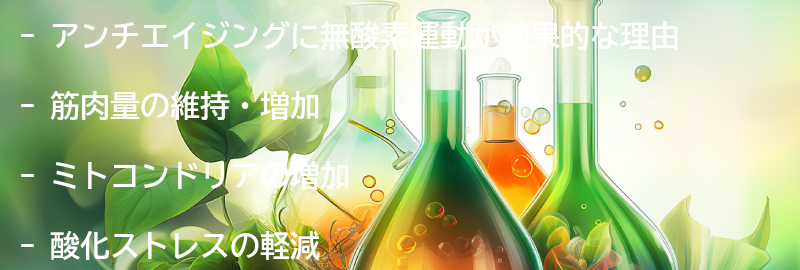 アンチエイジングに無酸素運動が効果的な理由の要点まとめ