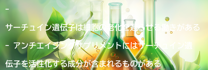 サーチュイン遺伝子とは？の要点まとめ