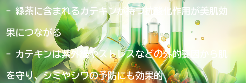 カテキンの抗酸化作用による美肌効果の要点まとめ