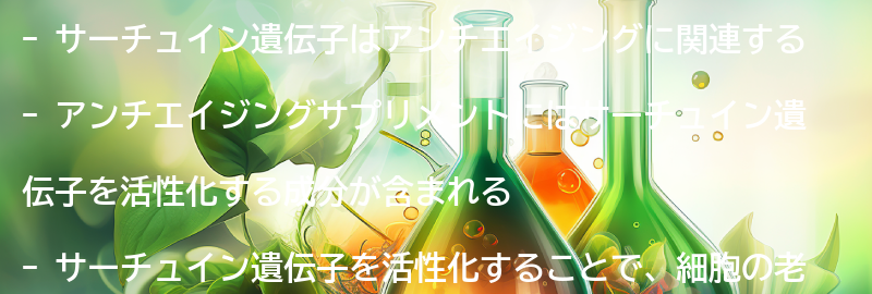 サーチュイン遺伝子とアンチエイジングの関係性の要点まとめ