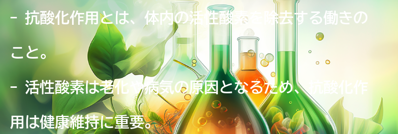 抗酸化作用とは？の要点まとめ