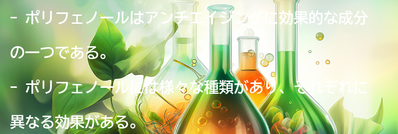 アンチエイジングに効果的なポリフェノールの種類の要点まとめ